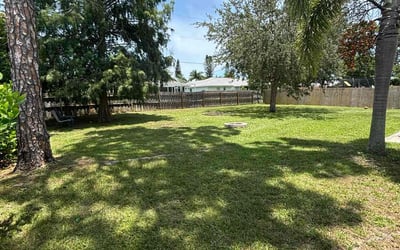 Photo of Derrick K.'s yard after getting lawn care in Morrisville, NC