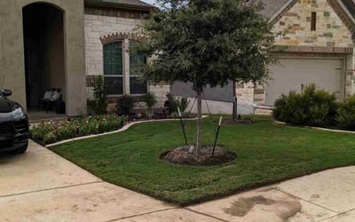 Photo of Moe S.'s yard after getting lawn care in East Syracuse, NY