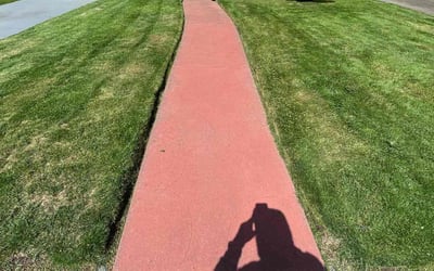 Photo of Anjanette J.'s yard after getting lawn care in Daly City, CA