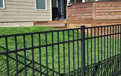 Photo of Angela J.'s yard after getting lawn care in Bridgeton, NJ