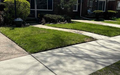 Photo of Joyce B.'s yard after getting lawn care in Detroit, MI