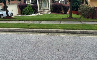 Photo of Samantha P.'s yard after getting lawn care in Snellville, GA