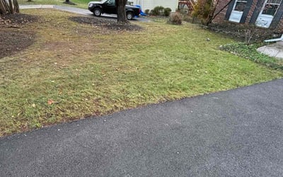 Photo of Martha R.'s yard after getting tree care in Surprise, AZ