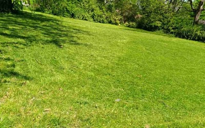 Photo of Nathan P.'s yard after getting lawn care in Cahokia, IL