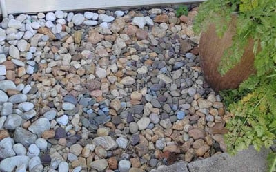 Photo of Mikesha W.'s yard after getting lawn care in Hightstown, NJ