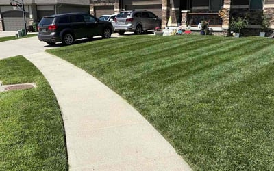 Photo of Helen G.'s yard after getting lawn care in South Holland, IL