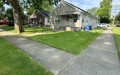 Photo of Noel P.'s yard after getting lawn care in Allen Park, MI