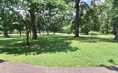 Photo of Andrea B.'s yard after getting lawn care in Hudson, NH