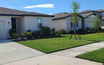 Photo of Mercedez R.'s yard after getting tree care in Parrish, FL