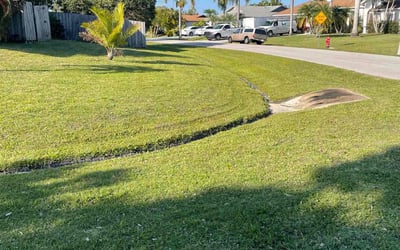 Photo of Will M.'s yard after getting lawn care in Charleston, SC