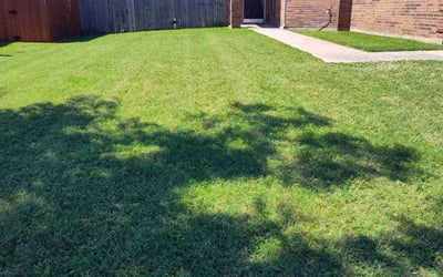 Photo of John N.'s yard after getting lawn care in Maspeth, NY