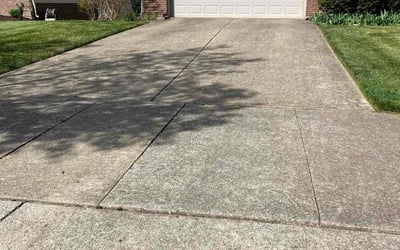 Photo of Lauren T.'s yard after getting lawn care in Versailles, KY