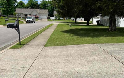 Photo of Arquavian M.'s yard after getting lawn care in Lorain, OH