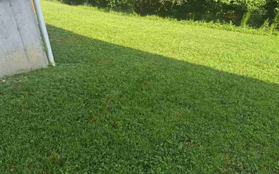 Photo of Drew H.'s yard after getting lawn care in Camp Hill, PA