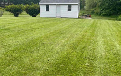 Photo of Kathy S.'s yard after getting lawn care in Bloomfield, CT