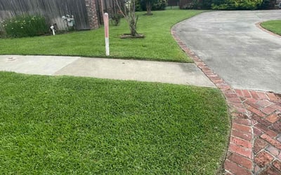 Photo of Tiffany B.'s yard after getting lawn care in Saint Martinville, LA