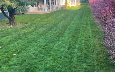 Photo of Teona F.'s yard after getting lawn care in Camas, WA