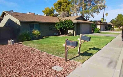 Photo of Pam K.'s yard after getting lawn care in Mesa, AZ