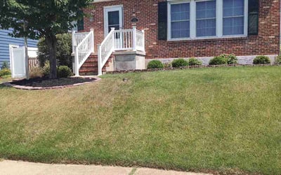 Photo of Christen D.'s yard after getting lawn care in Parkville, MD