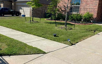 Photo of Billy C.'s yard after getting lawn care in Quinlan, TX