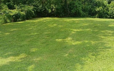 Photo of James M.'s yard after getting lawn care in Hazlet, NJ