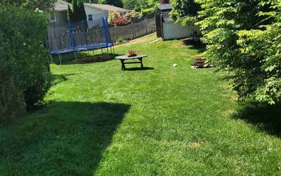 Photo of Jacob C.'s yard after getting lawn care in Reston, VA