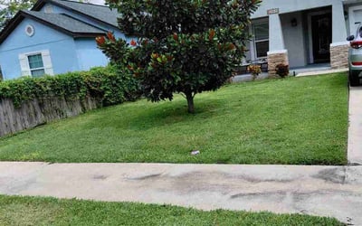 Photo of Daniel T.'s yard after getting lawn care in Garner, NC