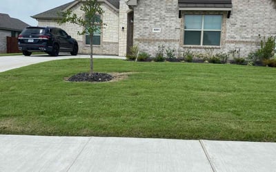 Photo of Bernard B.'s yard after getting lawn care in Midlothian, IL