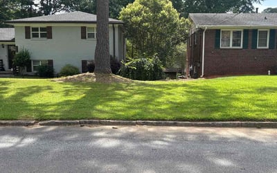 Photo of Art R.'s yard after getting lawn care in Decatur, GA