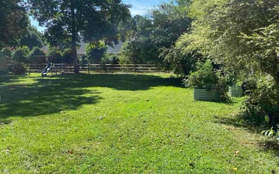 Photo of Sherri F.'s yard after getting lawn care in Lapeer, MI
