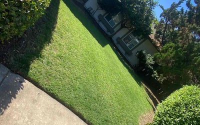 Photo of David M.'s yard after getting lawn care in Merced, CA