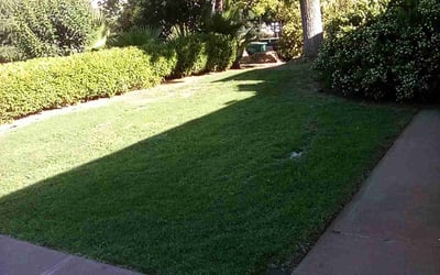 Photo of Jacob S.'s yard after getting lawn care in Porterville, CA