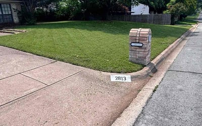 Photo of Samantha M.'s yard after getting lawn care in Kannapolis, NC