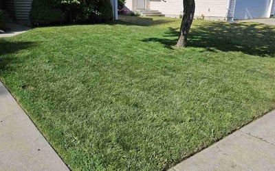 Photo of Trent C.'s yard after getting lawn care in Post Falls, ID