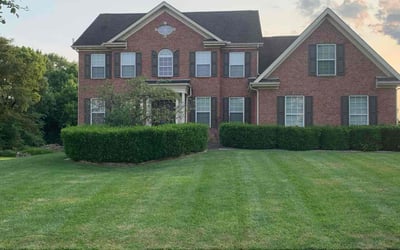 Photo of Darrell K.'s yard after getting lawn care in Mount Prospect, IL