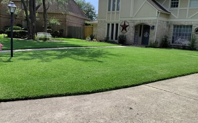 Photo of Sandy C.'s yard after getting lawn care in Westford, MA