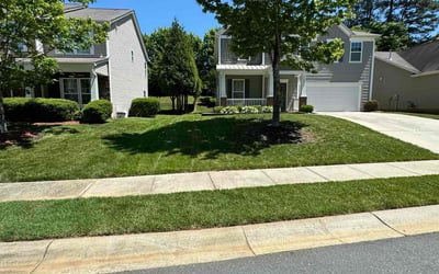 Photo of Sophia L.'s yard after getting lawn care in Charlotte, NC