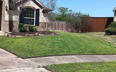 Photo of April S.'s yard after getting lawn care in Danville, CA