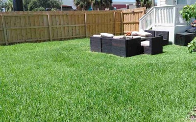 Photo of Melissa M.'s yard after getting lawn care in Eugene, OR