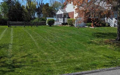 Photo of Elizabeth B.'s yard after getting lawn care in Schwenksville, PA