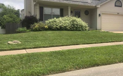 Photo of Vernell M.'s yard after getting lawn care in Morrow, GA