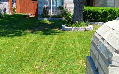 Photo of Javier R.'s yard after getting lawn care in Lindenhurst, NY
