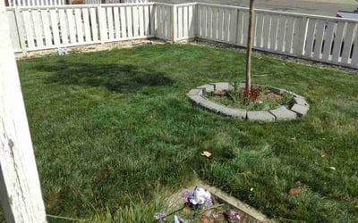Photo of Kimberly S.'s yard after getting lawn care in Benicia, CA
