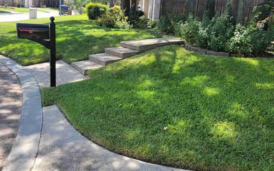 Photo of Donald C.'s yard after getting lawn care in Denison, TX