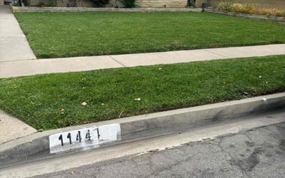 Photo of Eric C.'s yard after getting lawn care in Downey, CA