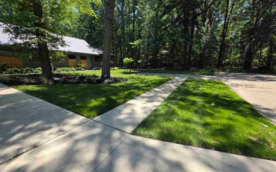 Photo of Augie B.'s yard after getting lawn care in Hamtramck, MI