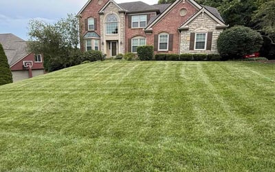 Photo of Barbara K.'s yard after getting lawn care in Springdale, AR
