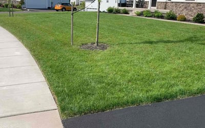 Photo of Sandra M.'s yard after getting lawn care in Souderton, PA