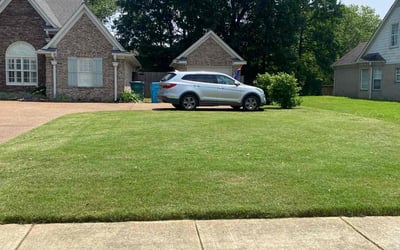 Photo of Mike B.'s yard after getting lawn care in Hernando, MS