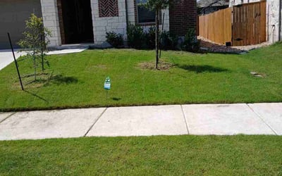 Photo of Will J.'s yard after getting lawn care in Palmetto, FL